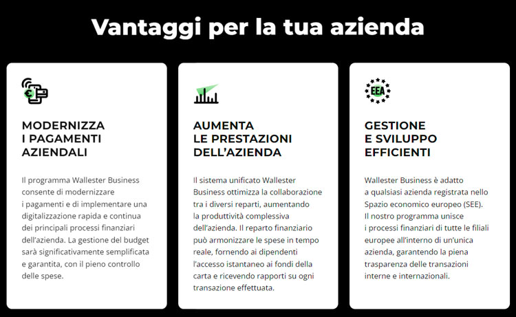 Vantaggi delle carte di pagamento Wallester